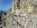 Grande esposizione!