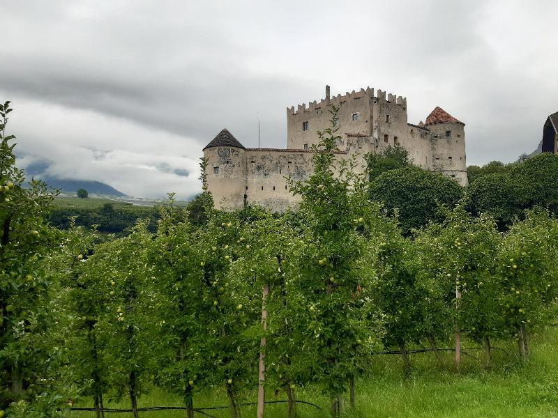 La Val Venosta in un'immagine: mele e castelli.