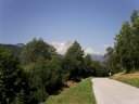 Il Pelmo spunta tra gli alberi