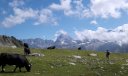 Primo affaccio verso il massiccio dei Combins