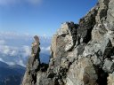 La testa d'aquila