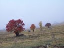I mille colori dell'autunno