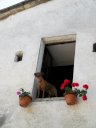 Il "padrone di casa" scruta l'orizzonte