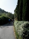 La splendida via degli ulivi verso Spello