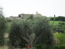 Castelnuovo dell'Abate